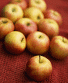 kaksitoista omenaa