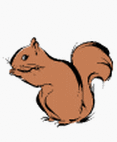 ruskea orava