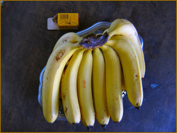 monta banaania